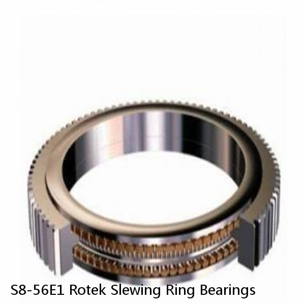 S8-56E1 Rotek Slewing Ring Bearings