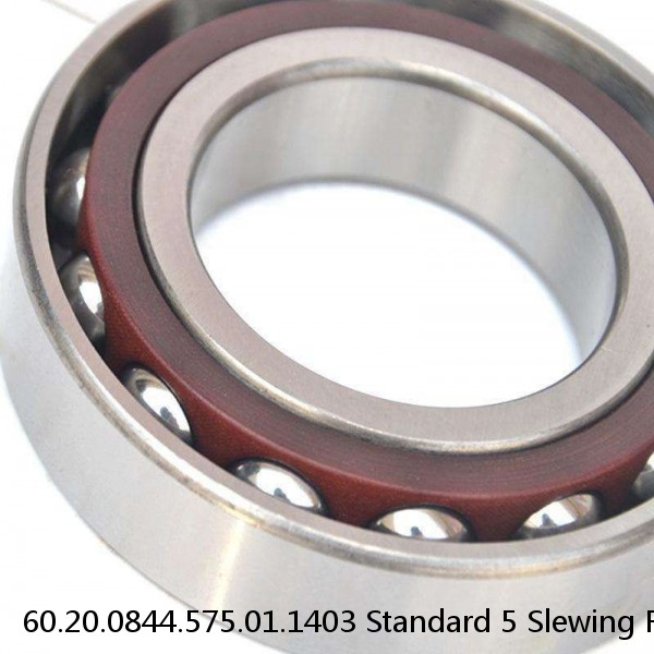 60.20.0844.575.01.1403 Standard 5 Slewing Ring Bearings #1 small image