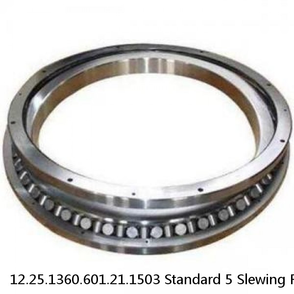 12.25.1360.601.21.1503 Standard 5 Slewing Ring Bearings #1 small image