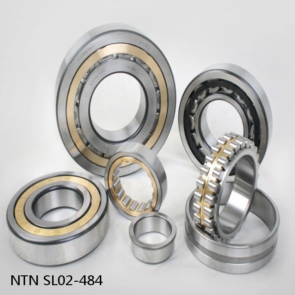 SL02-484 NTN Cylindrical Roller Bearing #1 small image