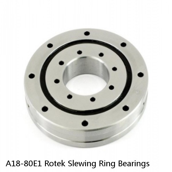 A18-80E1 Rotek Slewing Ring Bearings #1 image
