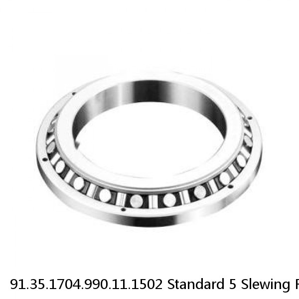 91.35.1704.990.11.1502 Standard 5 Slewing Ring Bearings #1 image